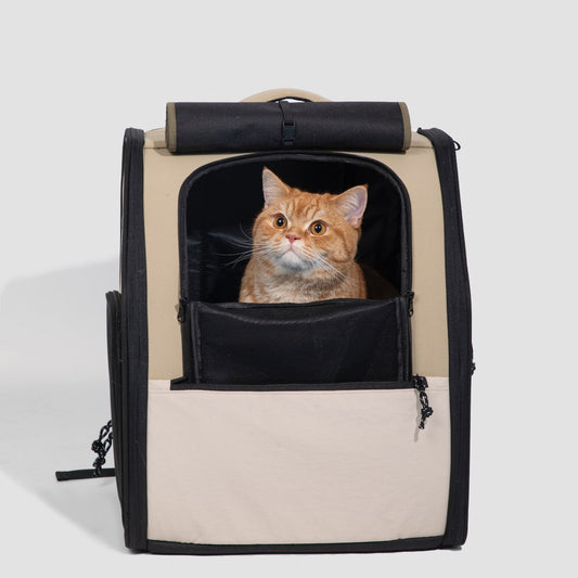 First class cat backpack